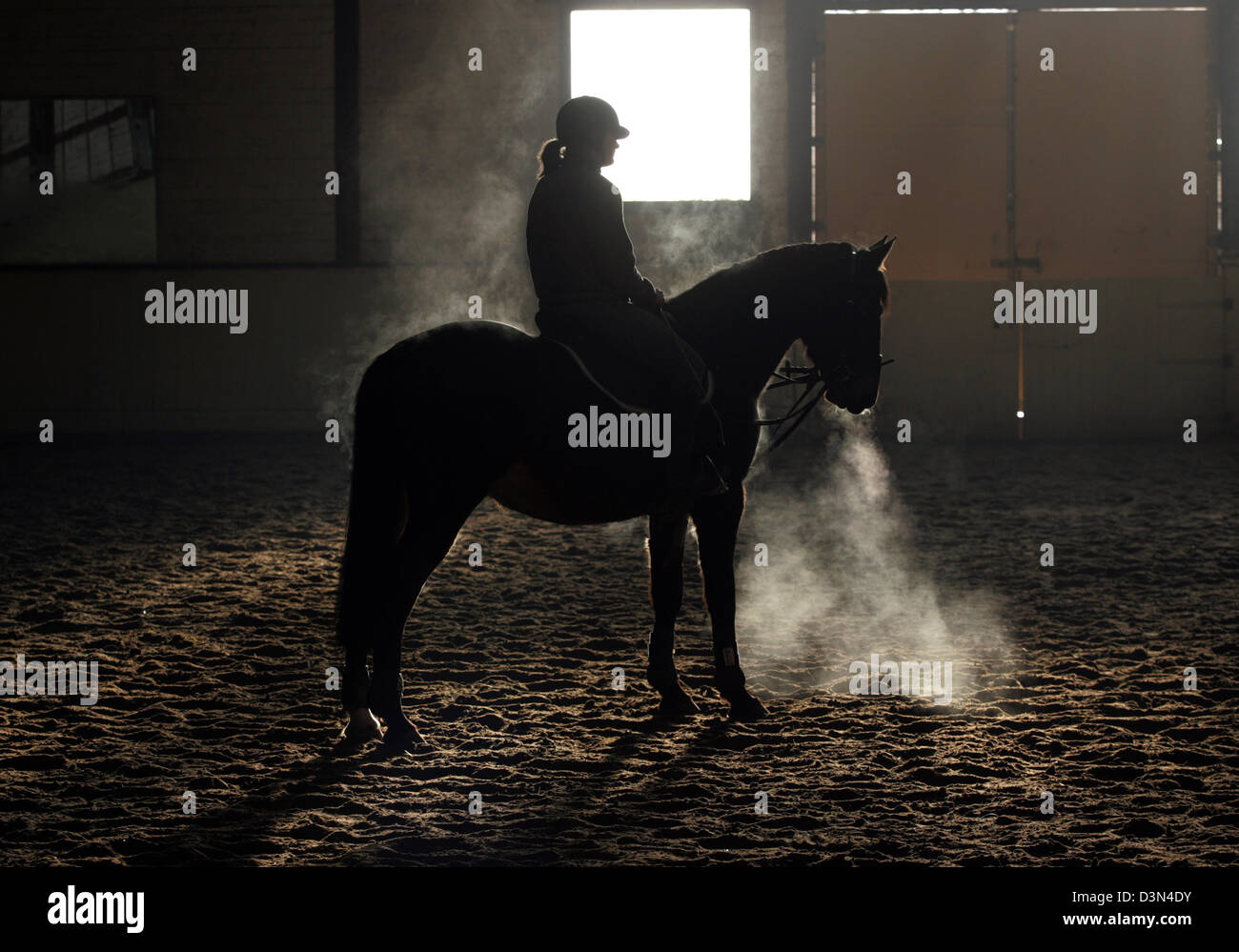 Magdeburg, Allemagne, silhouette, cavalier et son cheval sont dans un manège Banque D'Images