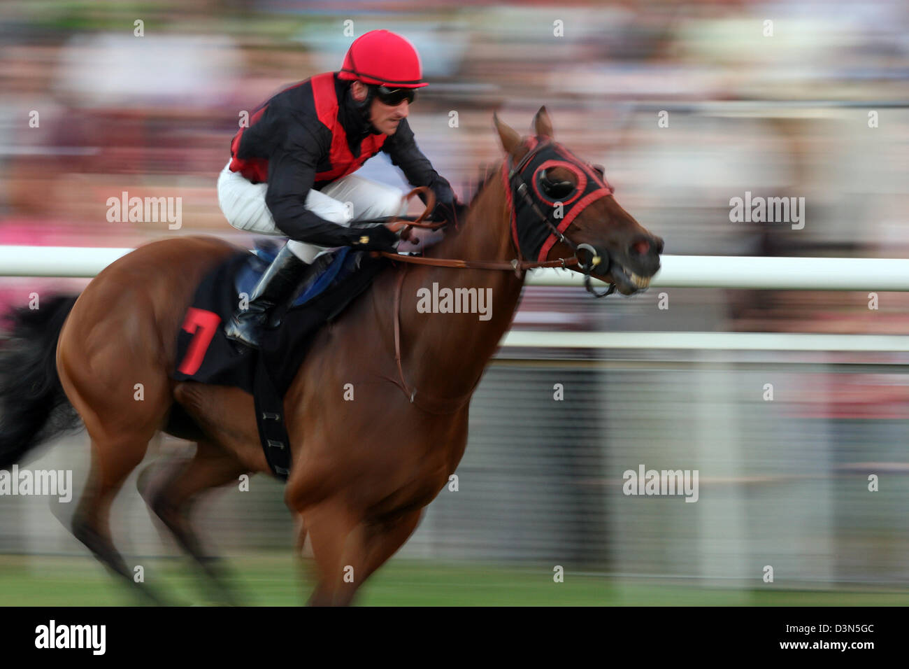 Hambourg, Allemagne, horse and jockey pendant une course de chevaux Banque D'Images