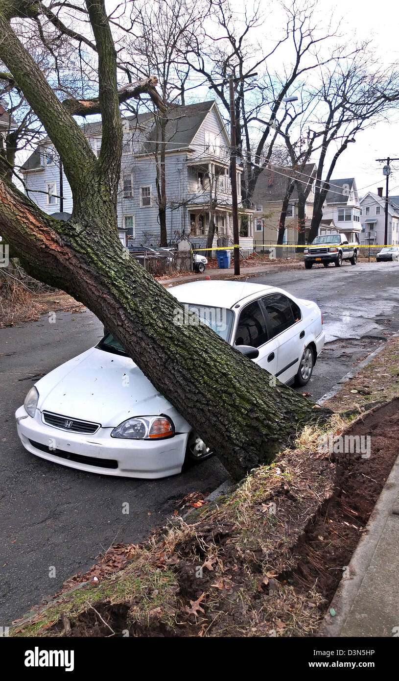 Un grand arbre renversé sur une voiture pendant une tempête de vent à New Haven CT USA Banque D'Images