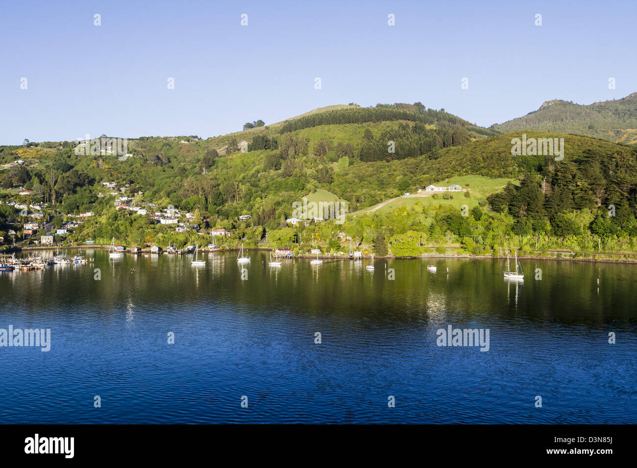 Bateaux de plaisance avec des réflexions et des collines au port d'Otago, Dunedin Nouvelle Zélande Banque D'Images