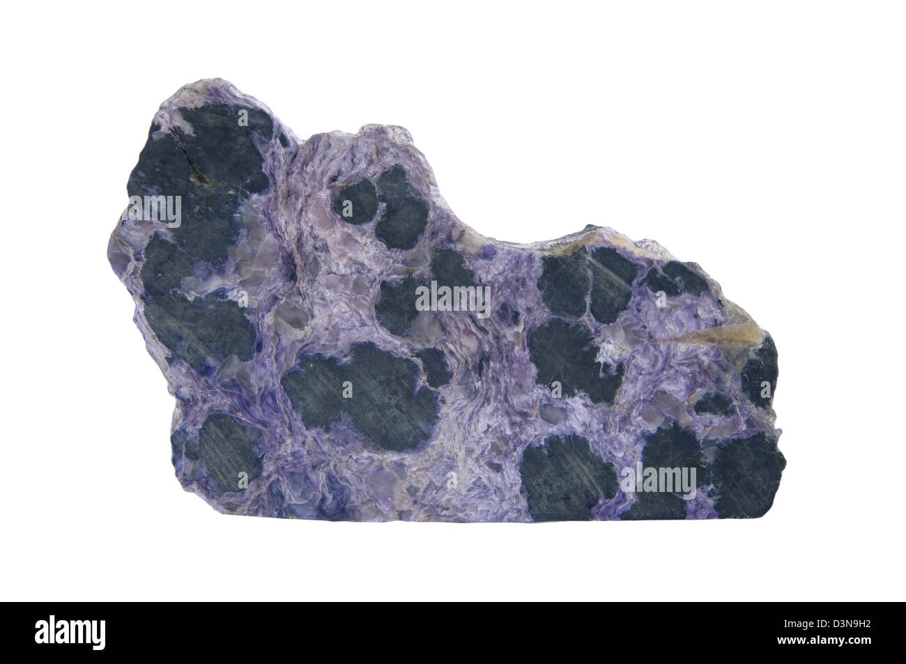 Charoite cristal sur fond noir Banque D'Images