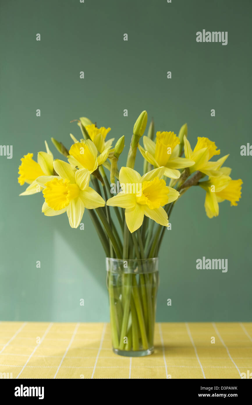 Cheerful cut jonquilles dans un vase en verre sur une nappe jaune vérifier avec un fond bleu Banque D'Images