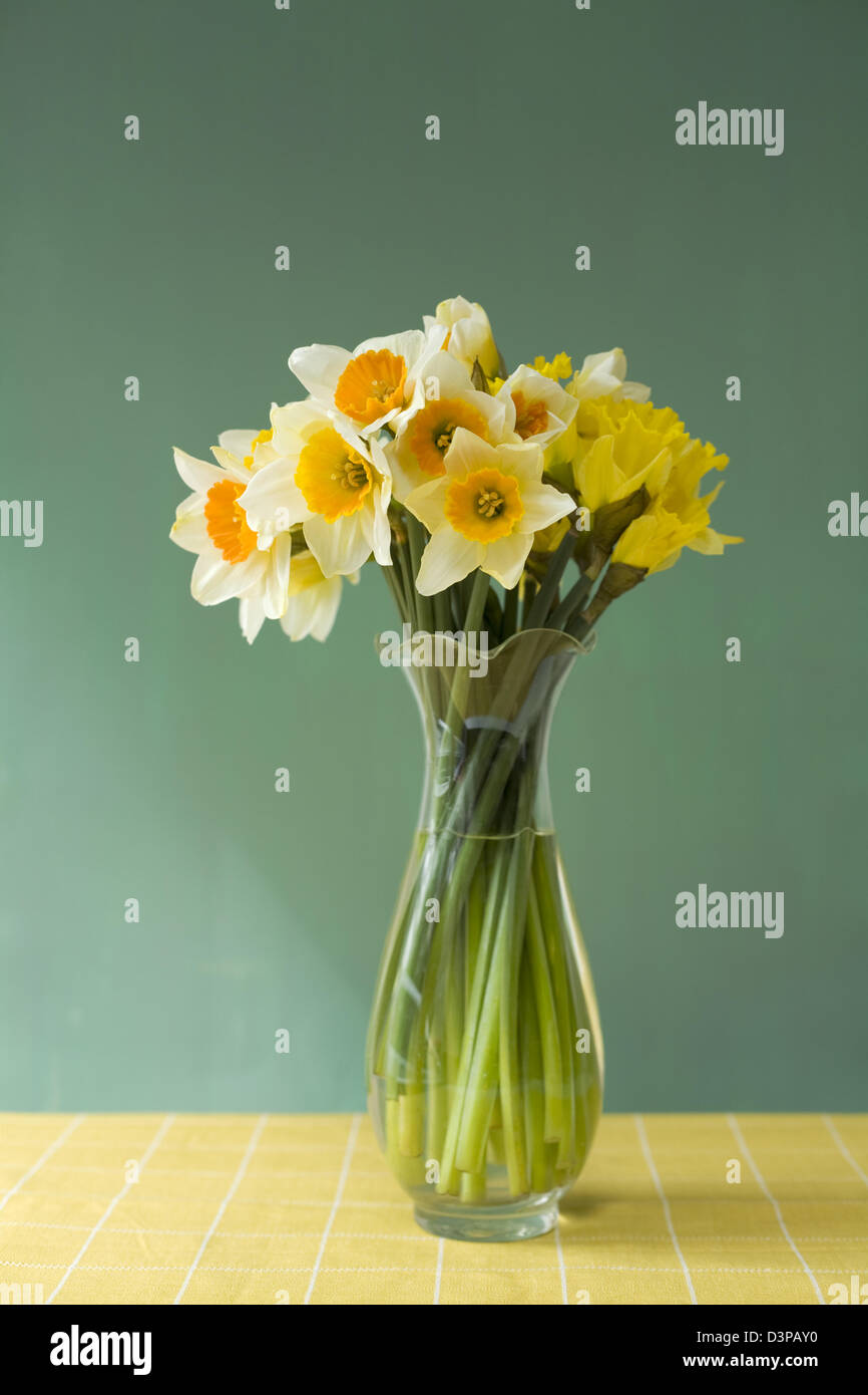 Cheerful jonquilles coupées dans un vase en verre sur une nappe jaune vérifier avec un fond vert Banque D'Images