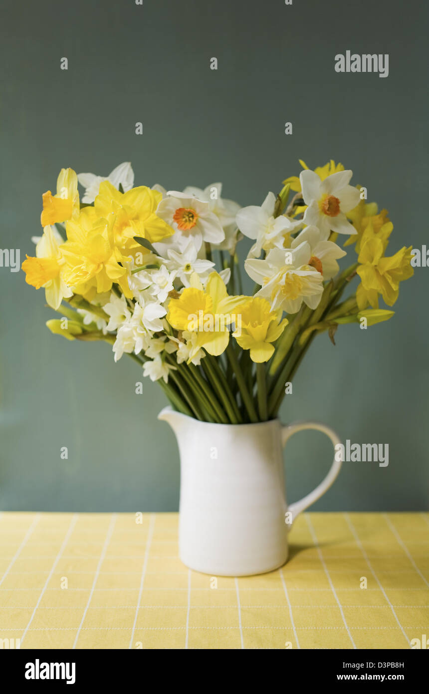 Cheerful mixed cut jonquilles dans un pot blanc sur une nappe jaune vérifier avec un fond vert Banque D'Images