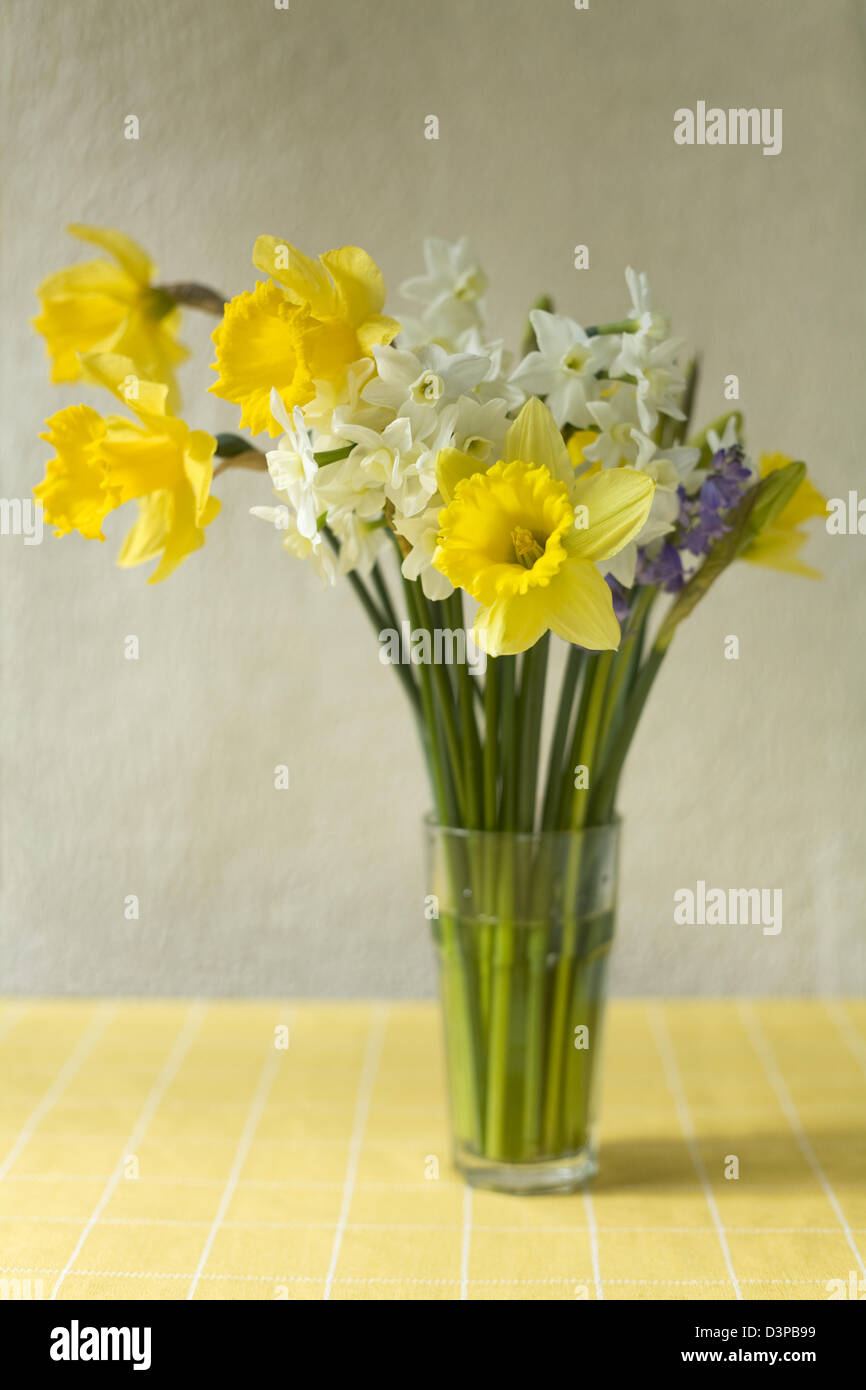 Cheerful jonquilles coupées dans un vase en verre sur une nappe jaune vérifier avec un fond naturel Banque D'Images