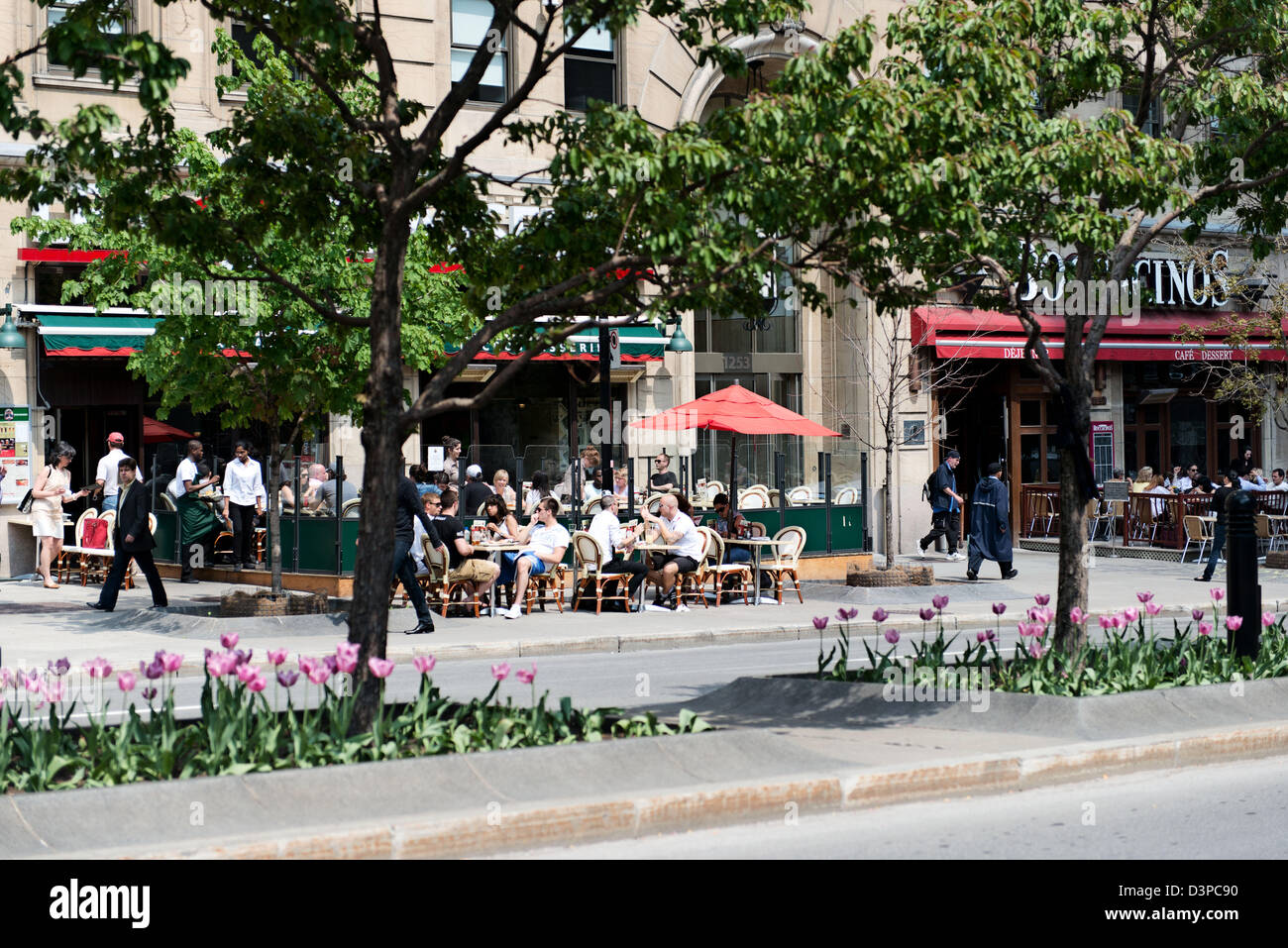 Restaurant Les trois brasseurs au printemps sur l'Avenue de l'Université McGill à Montréal, Québec Banque D'Images