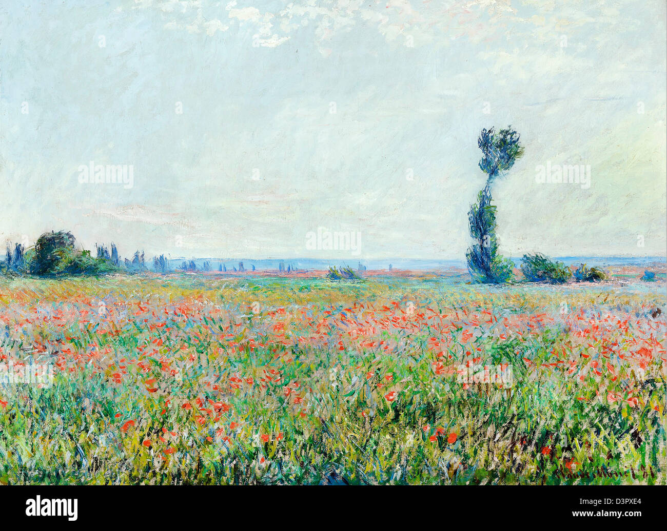 Claude Monet, champ de coquelicots 1881 Huile sur toile. Le Musée Boijmans Van Beuningen, Rotterdam, Pays-Bas Banque D'Images