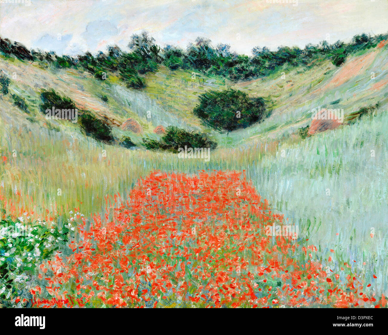 Claude Monet, champ de coquelicots, environs de Giverny 1885 Huile sur toile. Museum of Fine Arts, Boston, Massachusetts, USA Banque D'Images