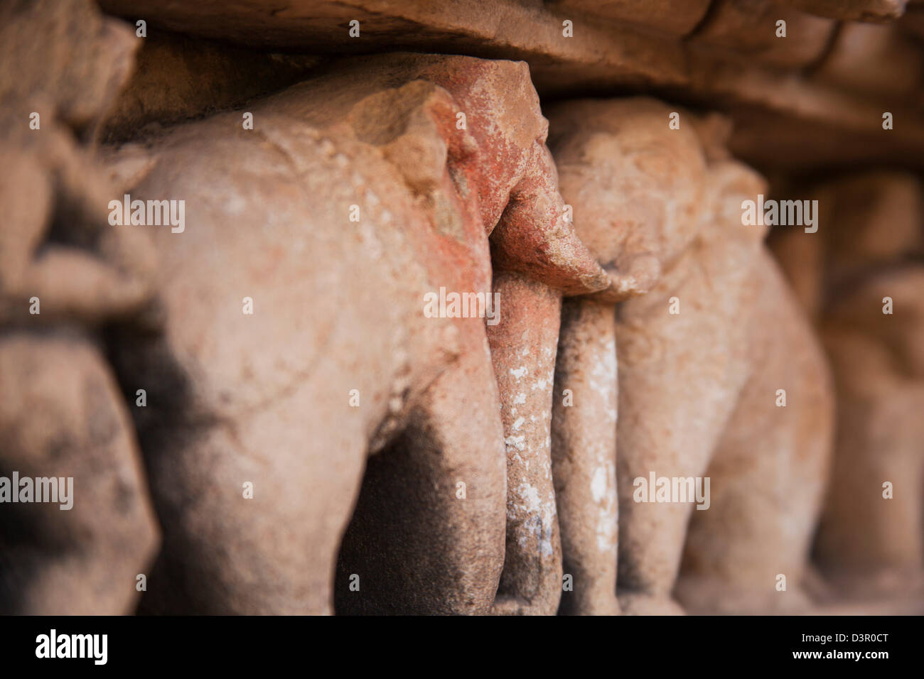 Close-up of elephant de statues dans un temple, Khajuraho, District Chhatarpur, Madhya Pradesh, Inde Banque D'Images