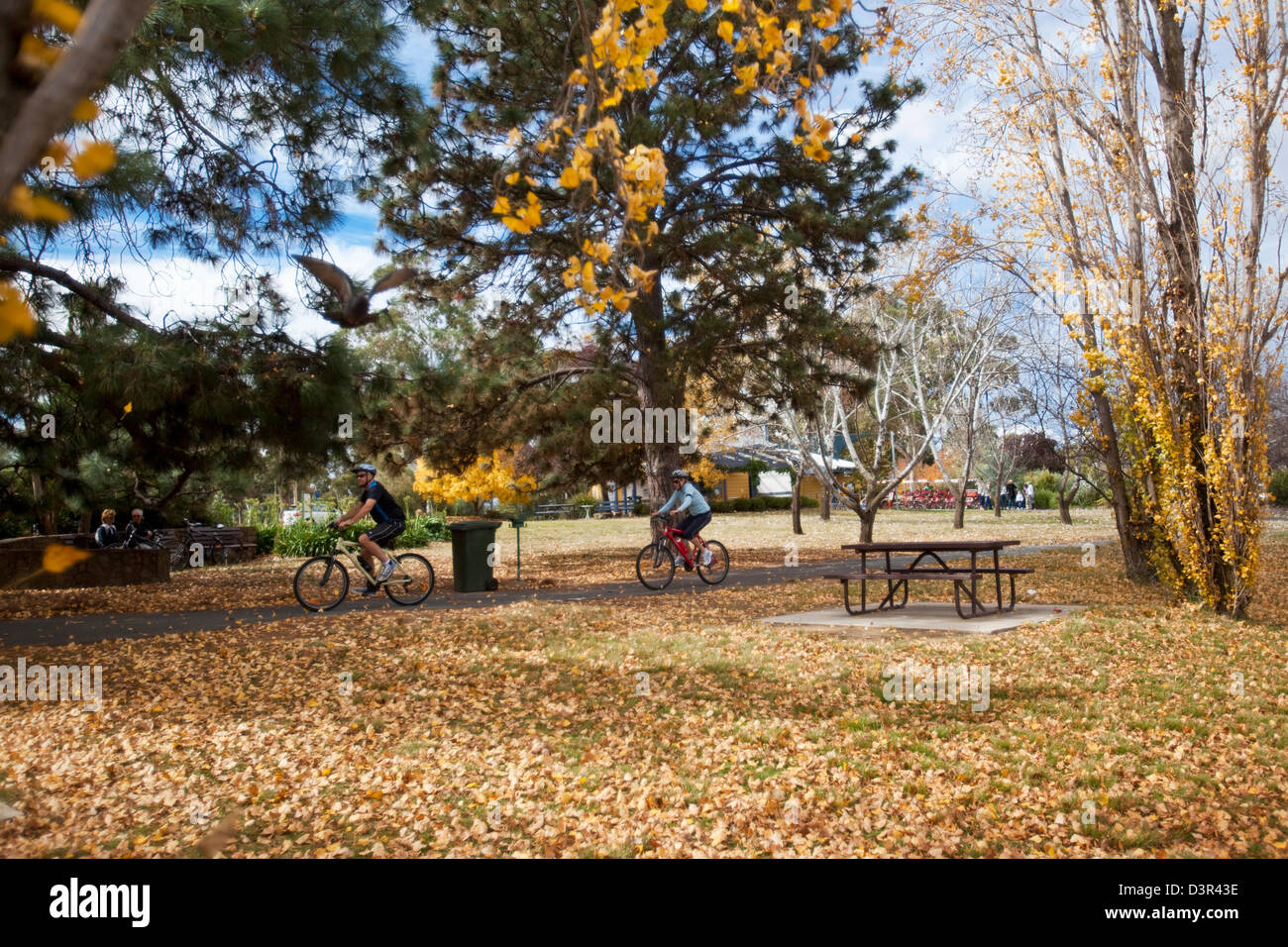 Les cyclistes sur les rives du lac Burley Griffin. Canberra, Territoire de la capitale australienne (ACT), l'Australie Banque D'Images