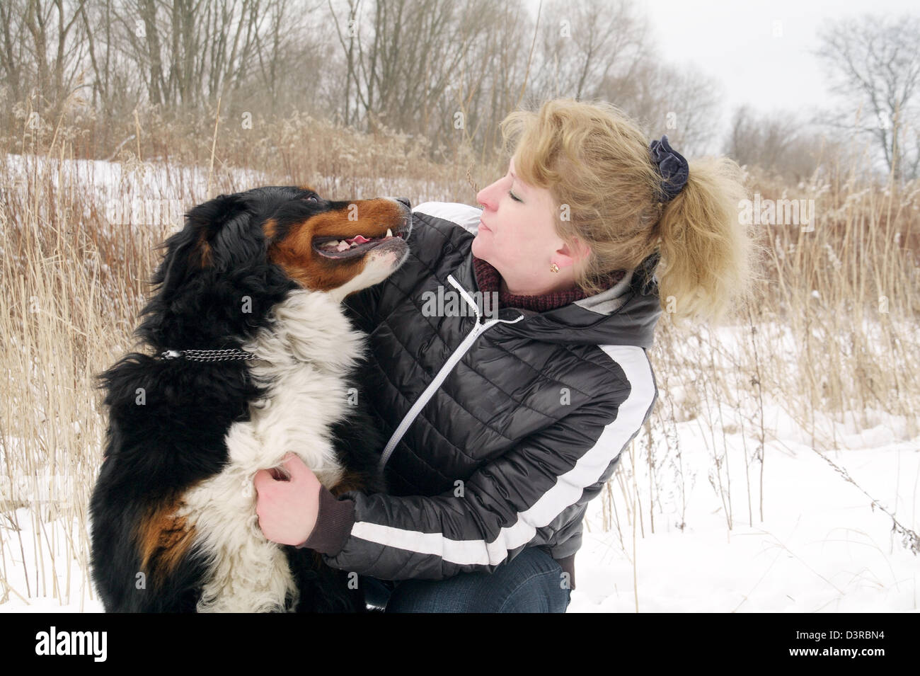 Bernois avec femme Banque D'Images