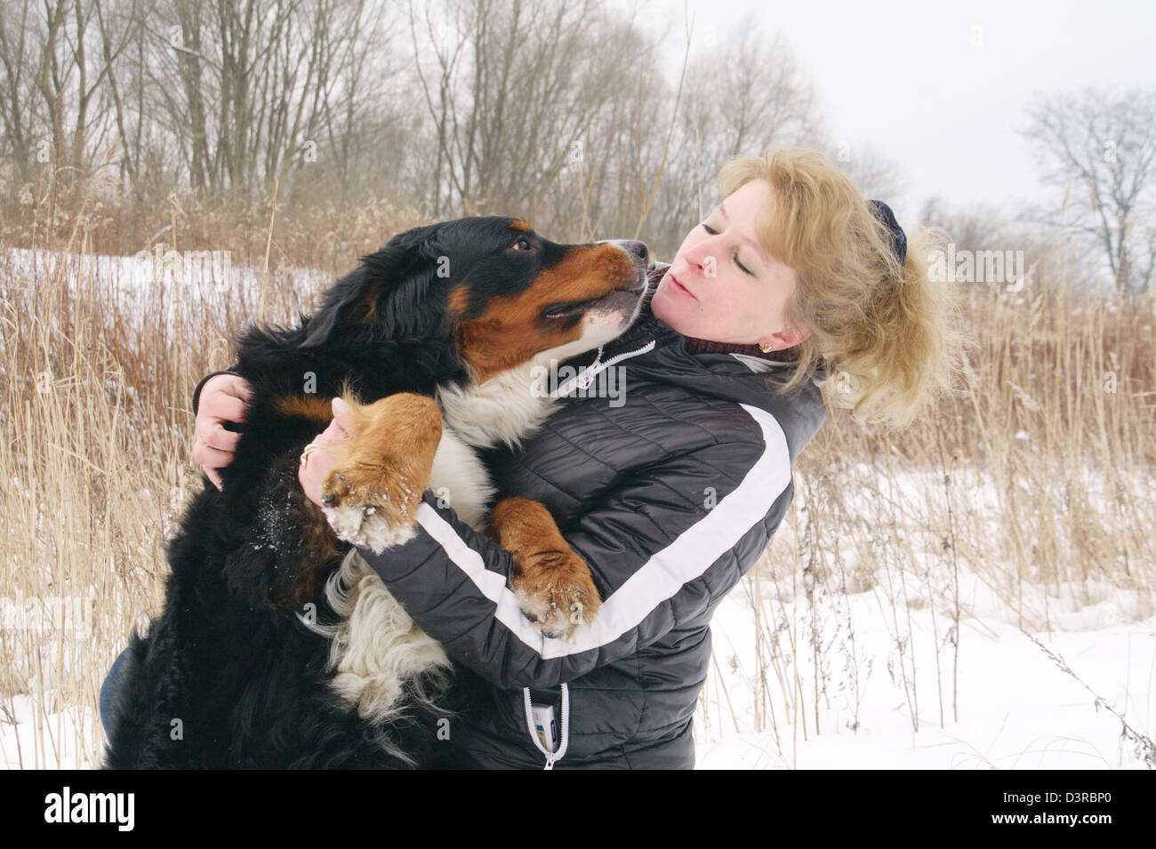 Bernois avec femme Banque D'Images