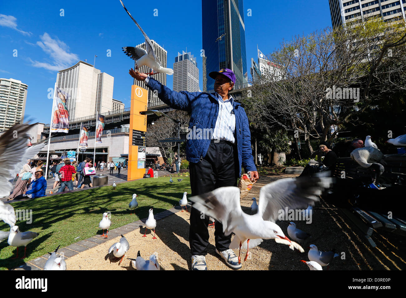 L'homme à l'alimentation voir cerclé Circular Quay à Sydney Banque D'Images