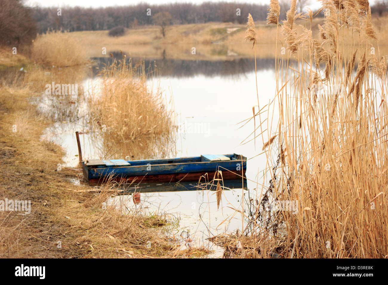 Bateau en bois vide amarré à rushy river shore Banque D'Images