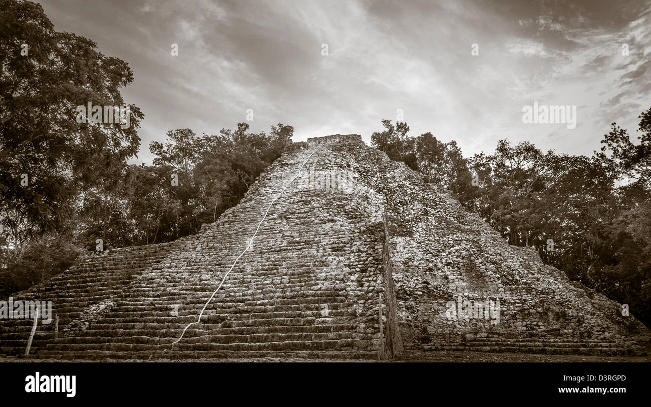 Nohoch Mul, la principale pyramide de Coba Mayan Ruins, Quintana Roo, Mexique. Banque D'Images