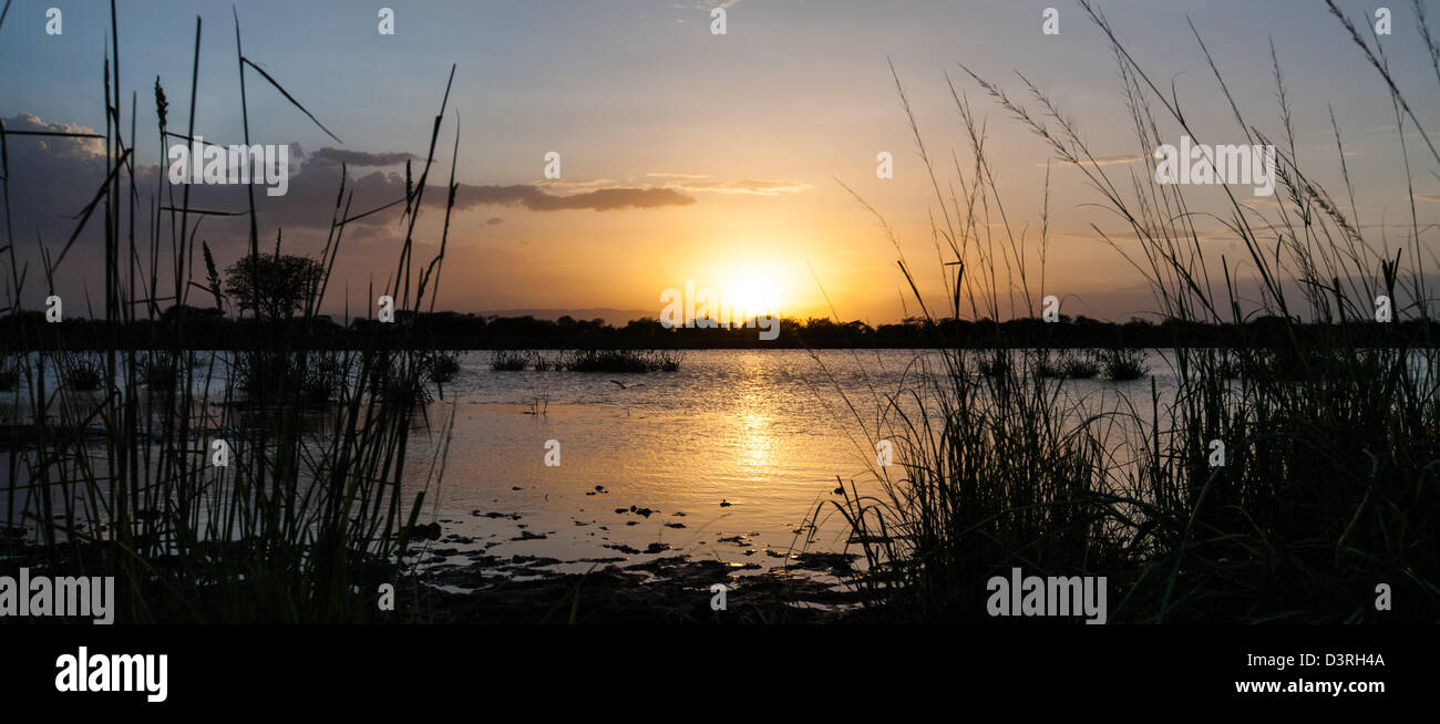 Le Serengeti coucher de soleil sur un lac dans la forêt de Tanzanie. Banque D'Images