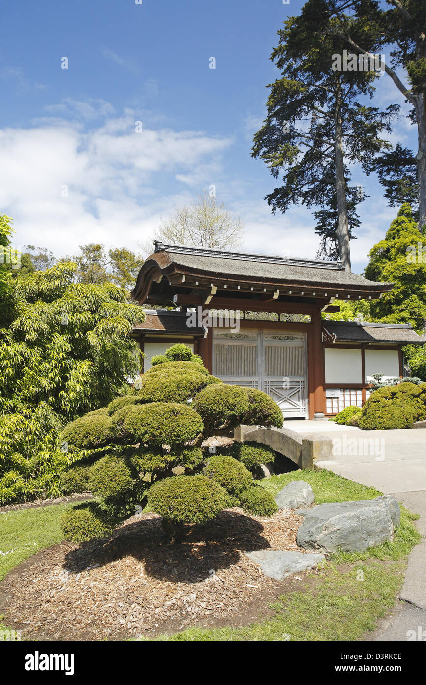 Le Japanese Tea Garden, le Golden Gate Park, San Francisco, California, USA Banque D'Images
