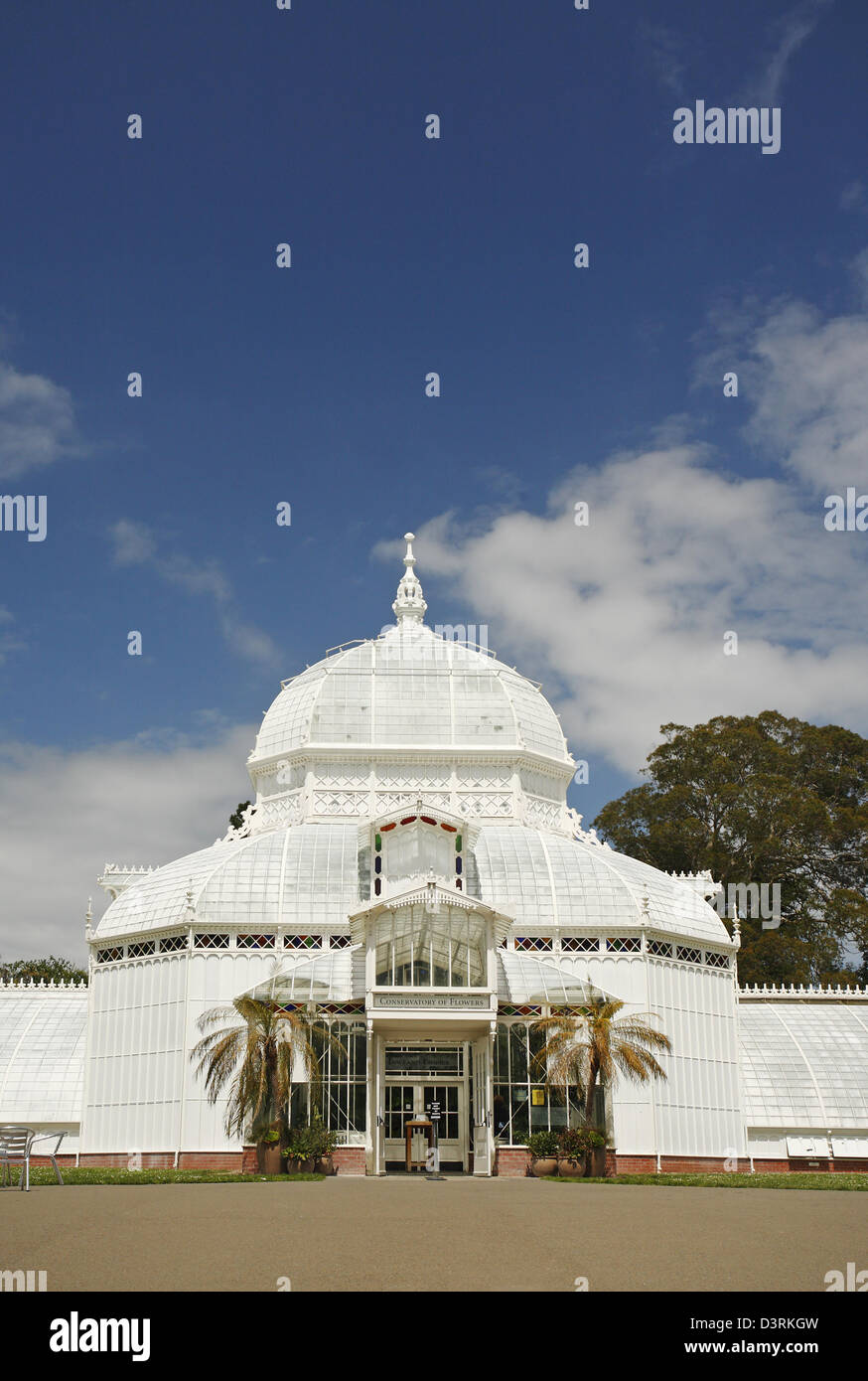 Le Conservatoire des fleurs, Golden Gate Park, San Francisco, California, USA Banque D'Images