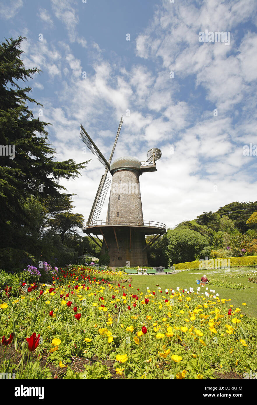 Moulin à Vent du nord dans le Golden Gate Park, San Francisco, California, USA Banque D'Images