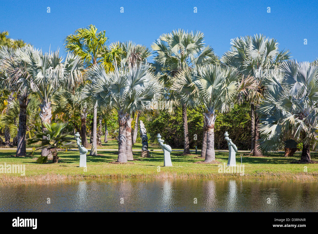 Fairchild Tropical Botanic Garden à Coral Gables dans la région de Miami, Floride Banque D'Images