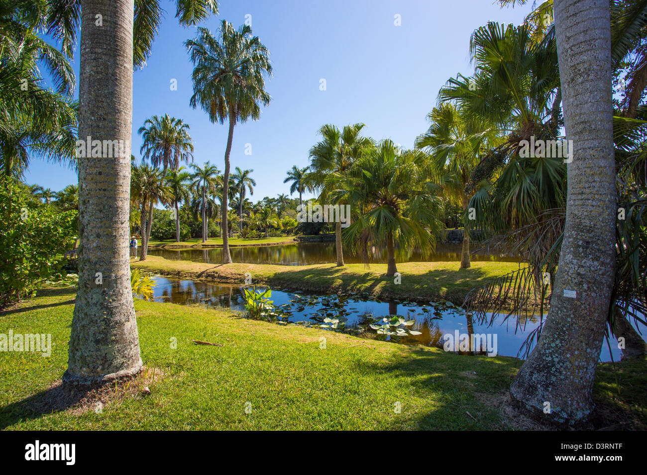 Fairchild Tropical Botanic Garden à Coral Gables dans la région de Miami, Floride Banque D'Images