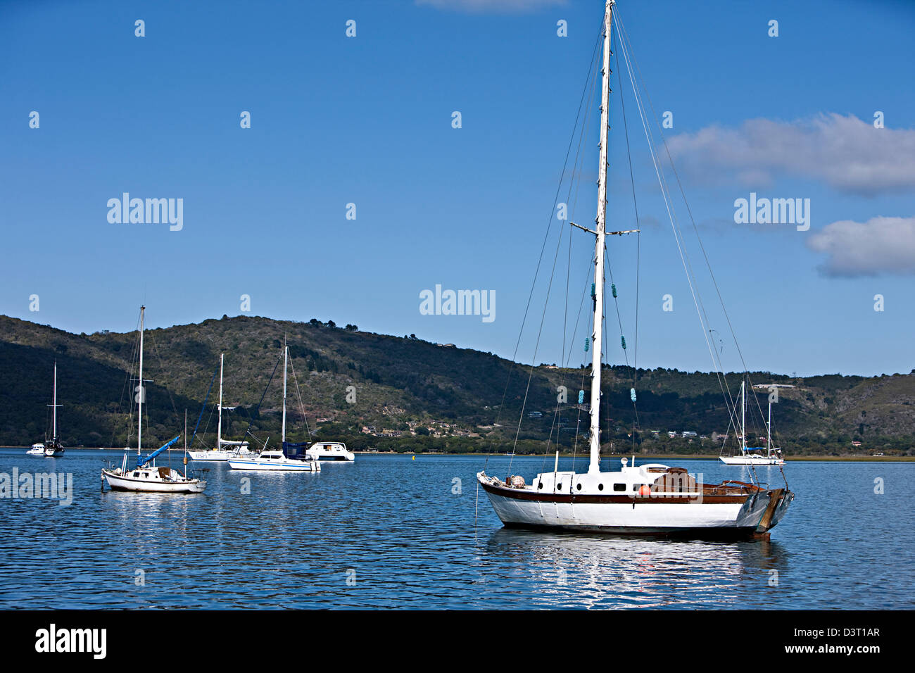 Yachts à Featherbed Nature Reserve, Knysna, Afrique du Sud Banque D'Images