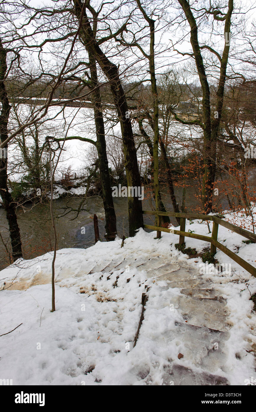 Plessey Woods, Northumberland Banque D'Images