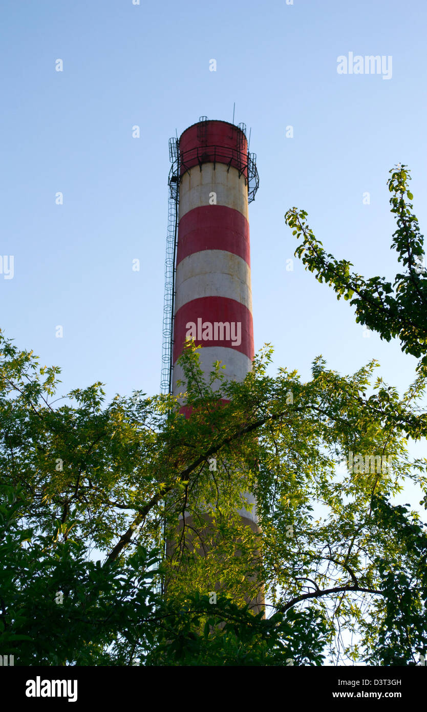 Tuyau d’usine Banque D'Images