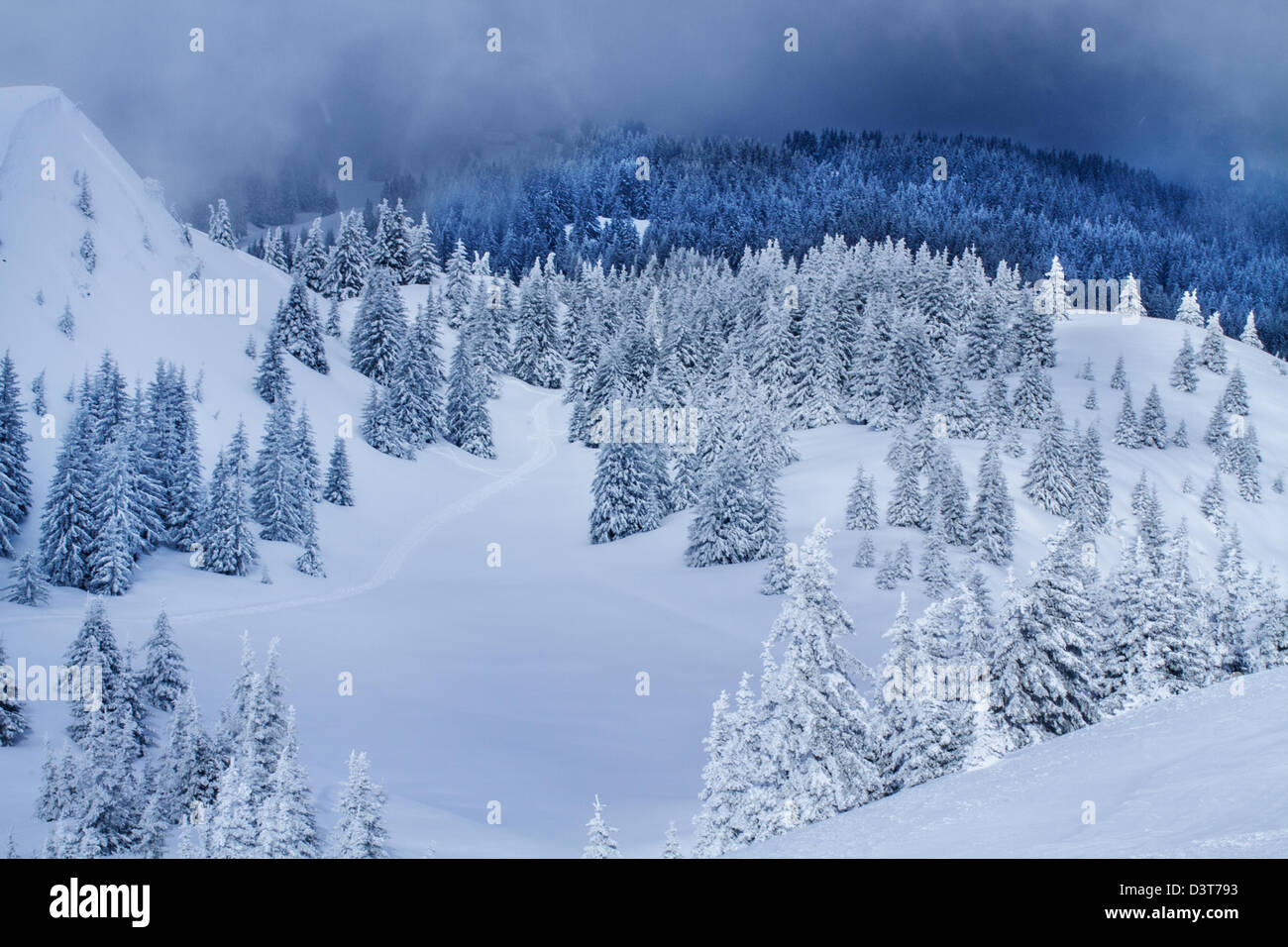 Paysages de Chartreuse Massif Banque D'Images