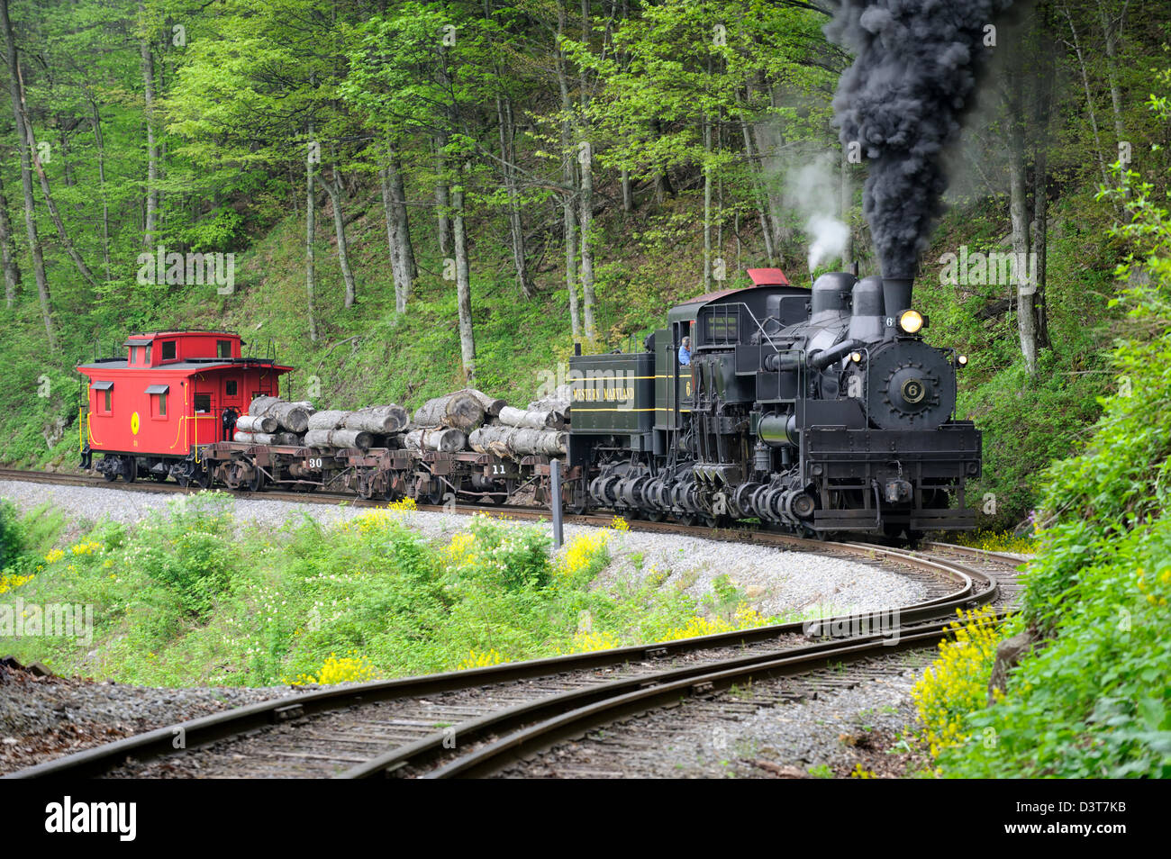 Train à vapeur tirant des grumes arrondissement courbe en S dans les bois Banque D'Images