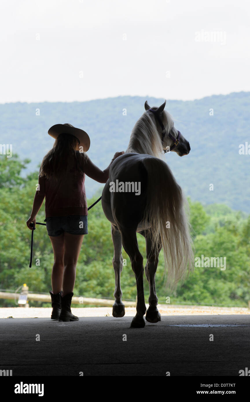 Femme et cheval découpé en porte de grange ouverte, un country girl wearing cowboy hat, d'été, shorts et les bottes. Banque D'Images