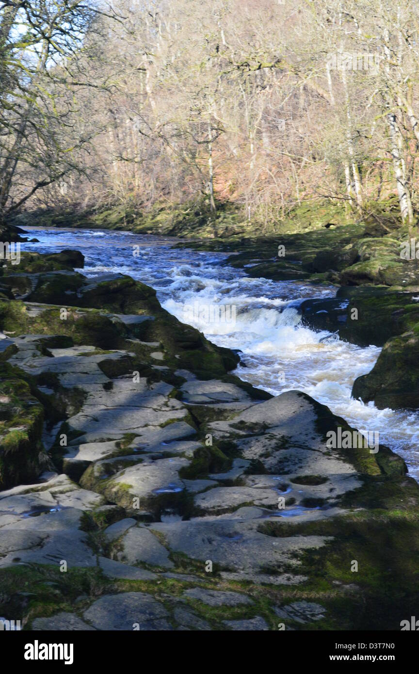 La rivière Wharfe s'écoule dans la SRCFA une étroite gorge pierre meulière sur le Dales Way Sentier Wharfedale Yorkshire Banque D'Images