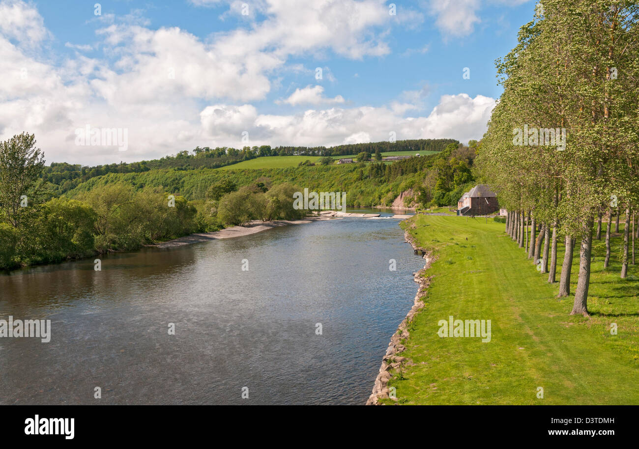 L'Ecosse, Scottish Borders, la rivière Tweed près de St Boswells Banque D'Images