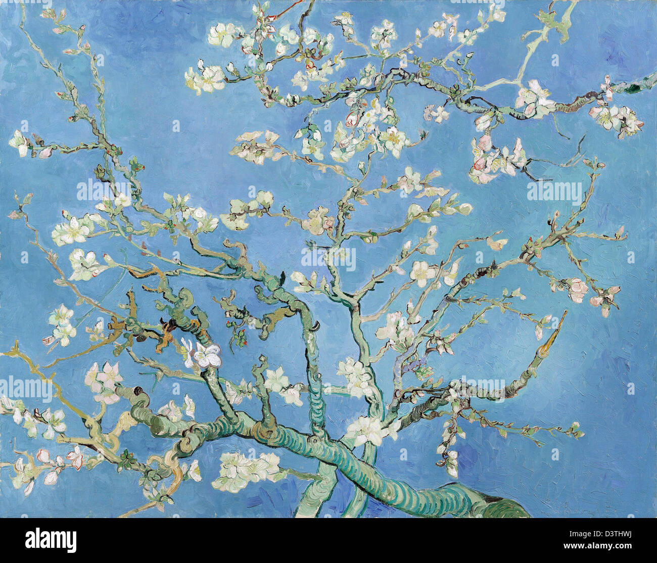 Vincent van Gogh, branches d'amandiers en fleurs. 1890. Le japonisme. Huile sur toile. Van Gogh Museum, Amsterdam, Pays-Bas. Banque D'Images