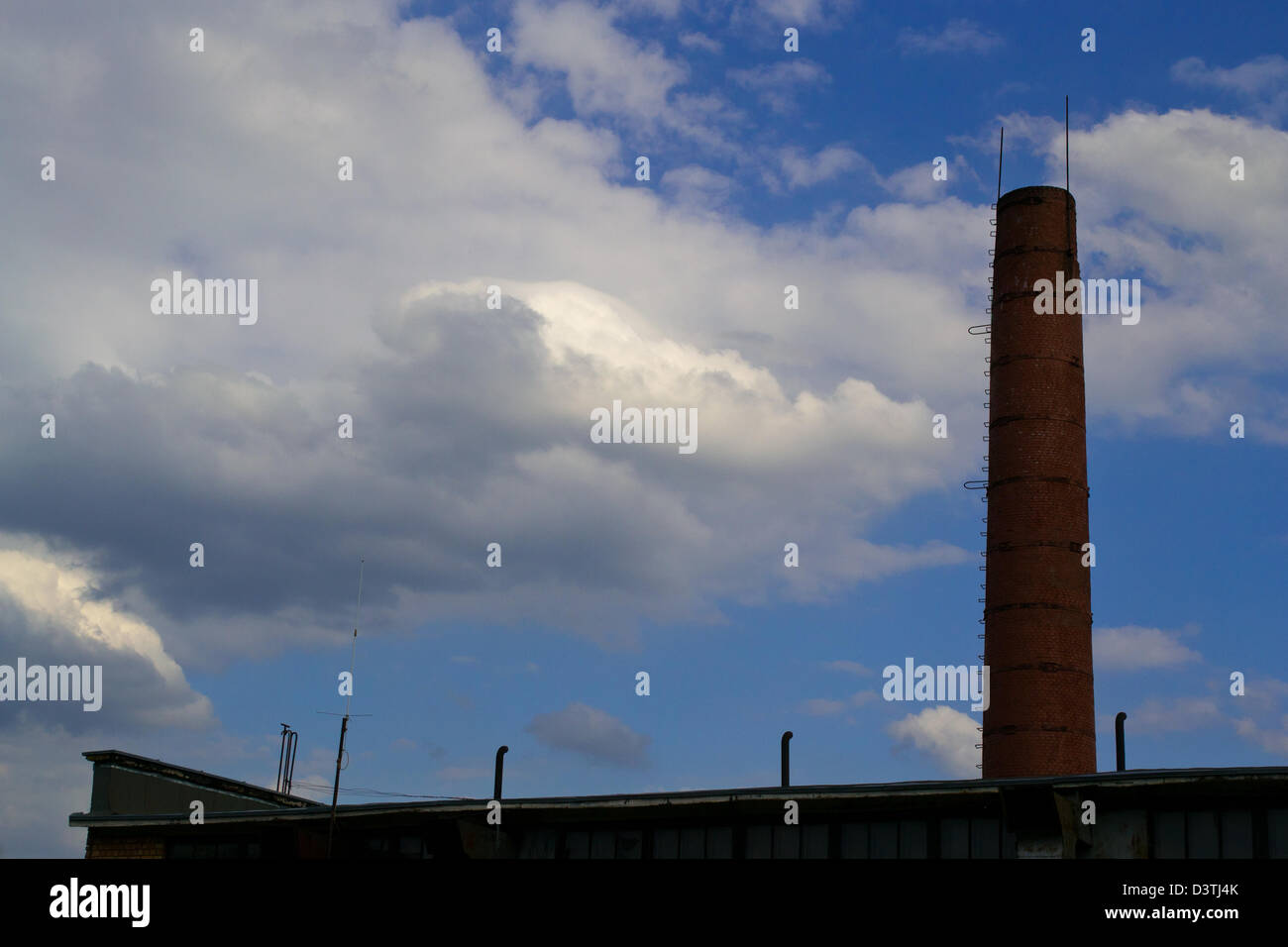 Tuyau d’usine Banque D'Images