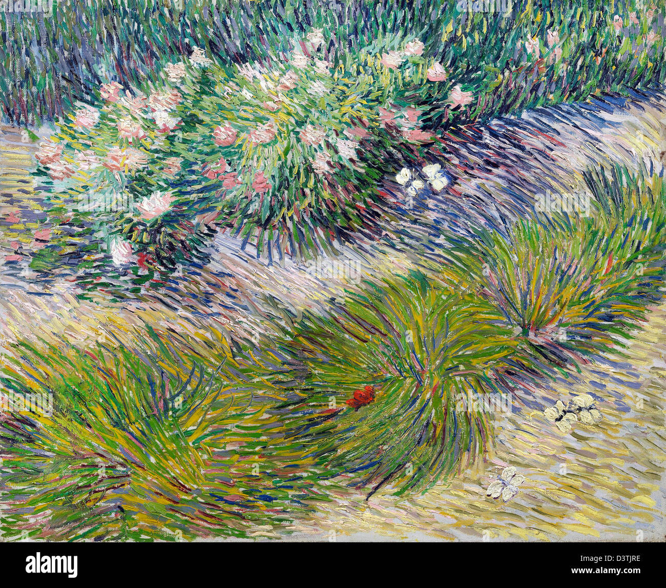 Vincent van Gogh, d'herbe et de papillons 1887 Huile sur toile. Van Gogh Museum, Amsterdam, Pays-Bas. Banque D'Images