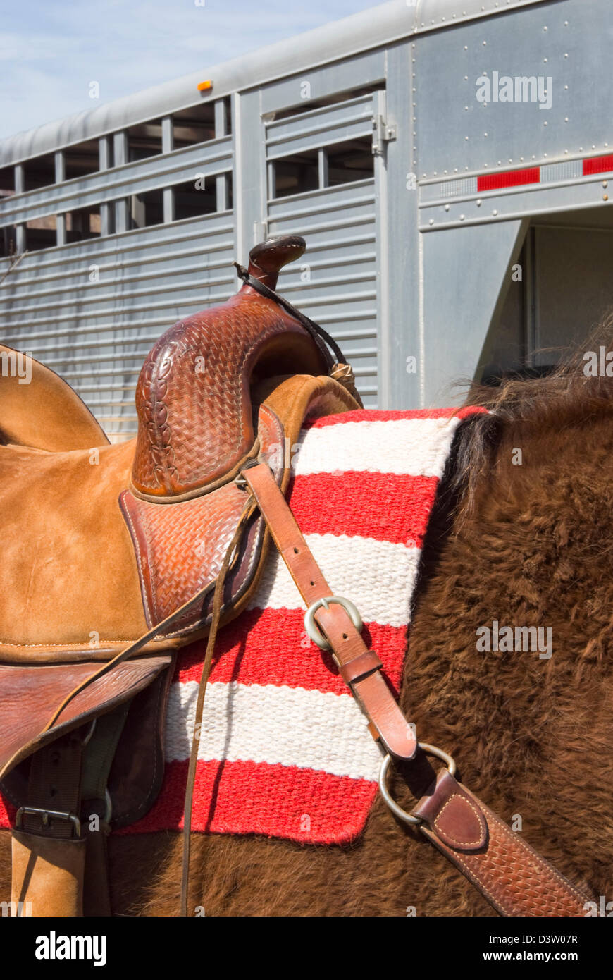 En vertu de l'cheval selle western prêt pour l'rider, drapeau américain sous couverture et la remorque derrière. Banque D'Images
