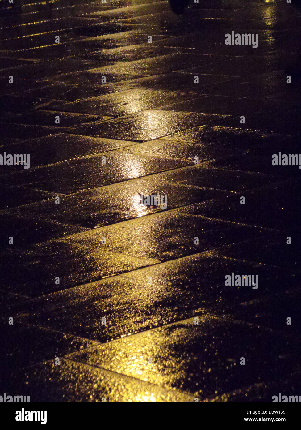 Réflexion de la lumière dans un sol humide, après la nuit de pluie, avec une silhouette au milieu de la feuille Banque D'Images