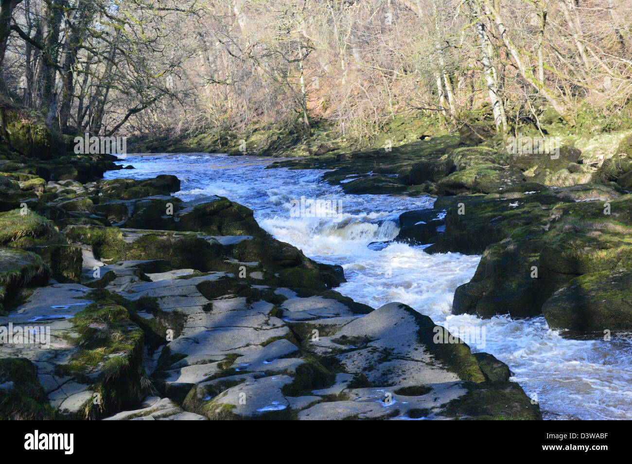 La rivière Wharfe s'écoule dans la SRCFA une étroite gorge pierre meulière sur le Dales Way Sentier Wharfedale Yorkshire Banque D'Images