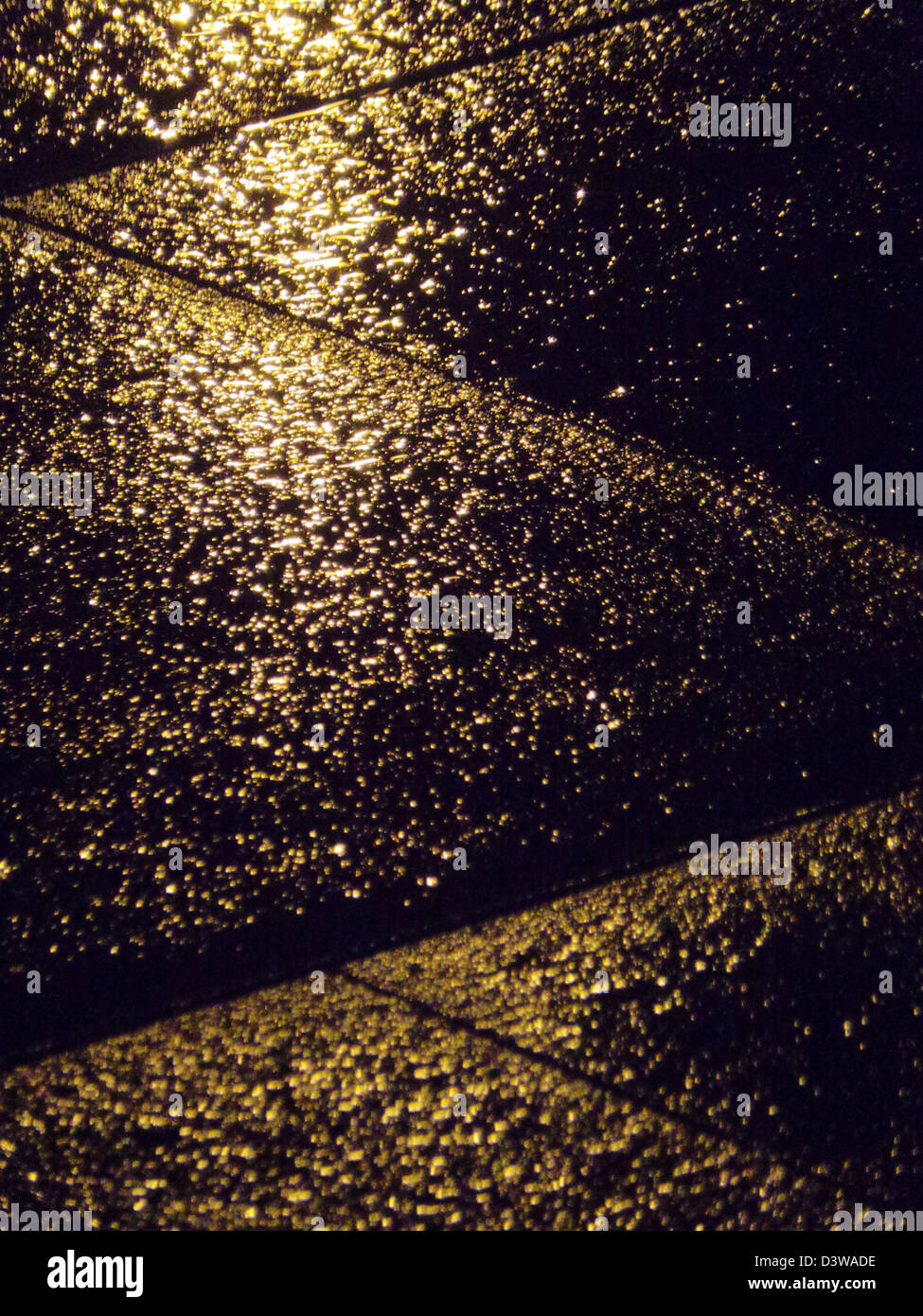 Réflexion de la lumière dans un sol humide, après la nuit de pluie Banque D'Images