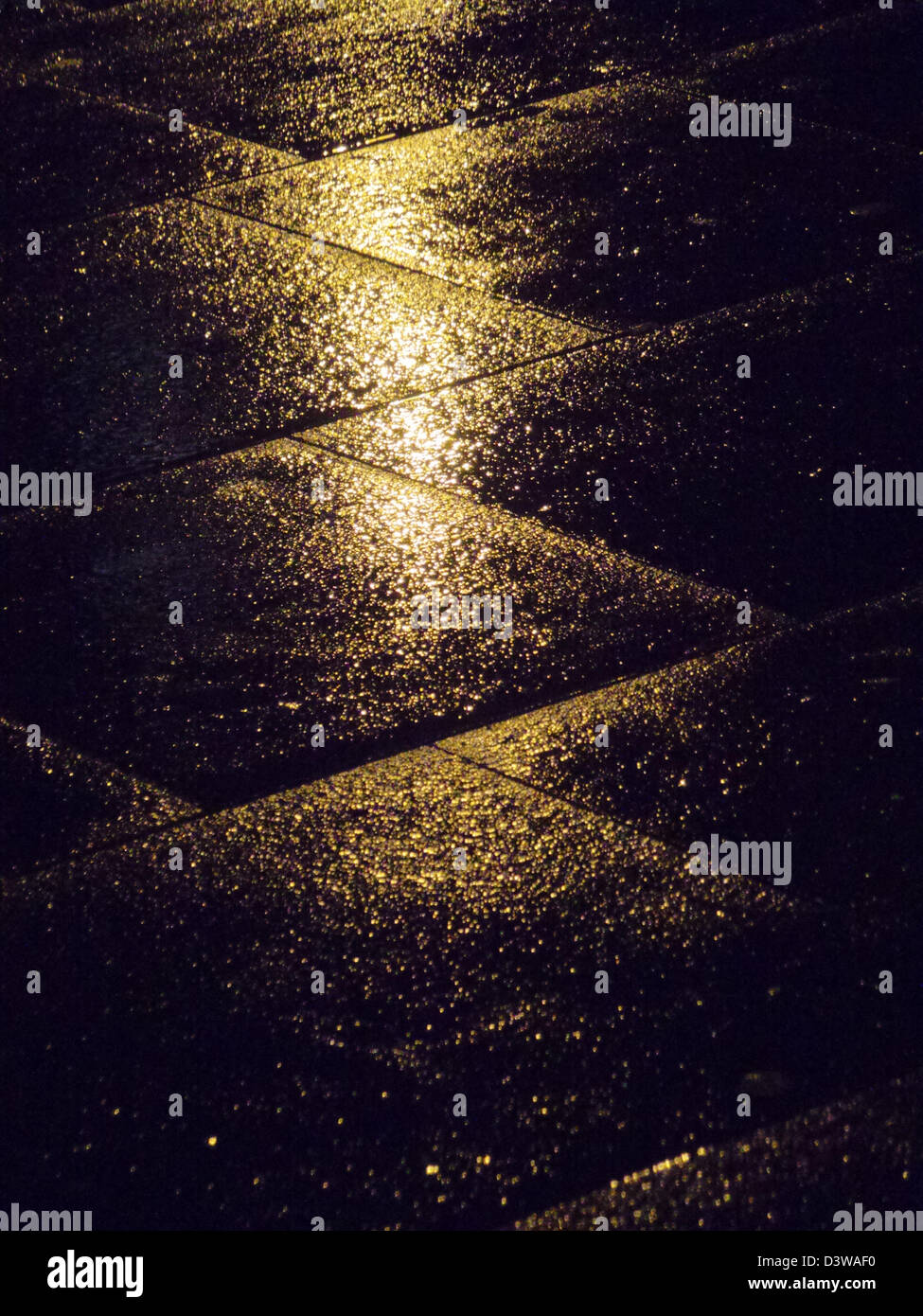 Réflexion de la lumière dans un sol humide, après la nuit de pluie Banque D'Images