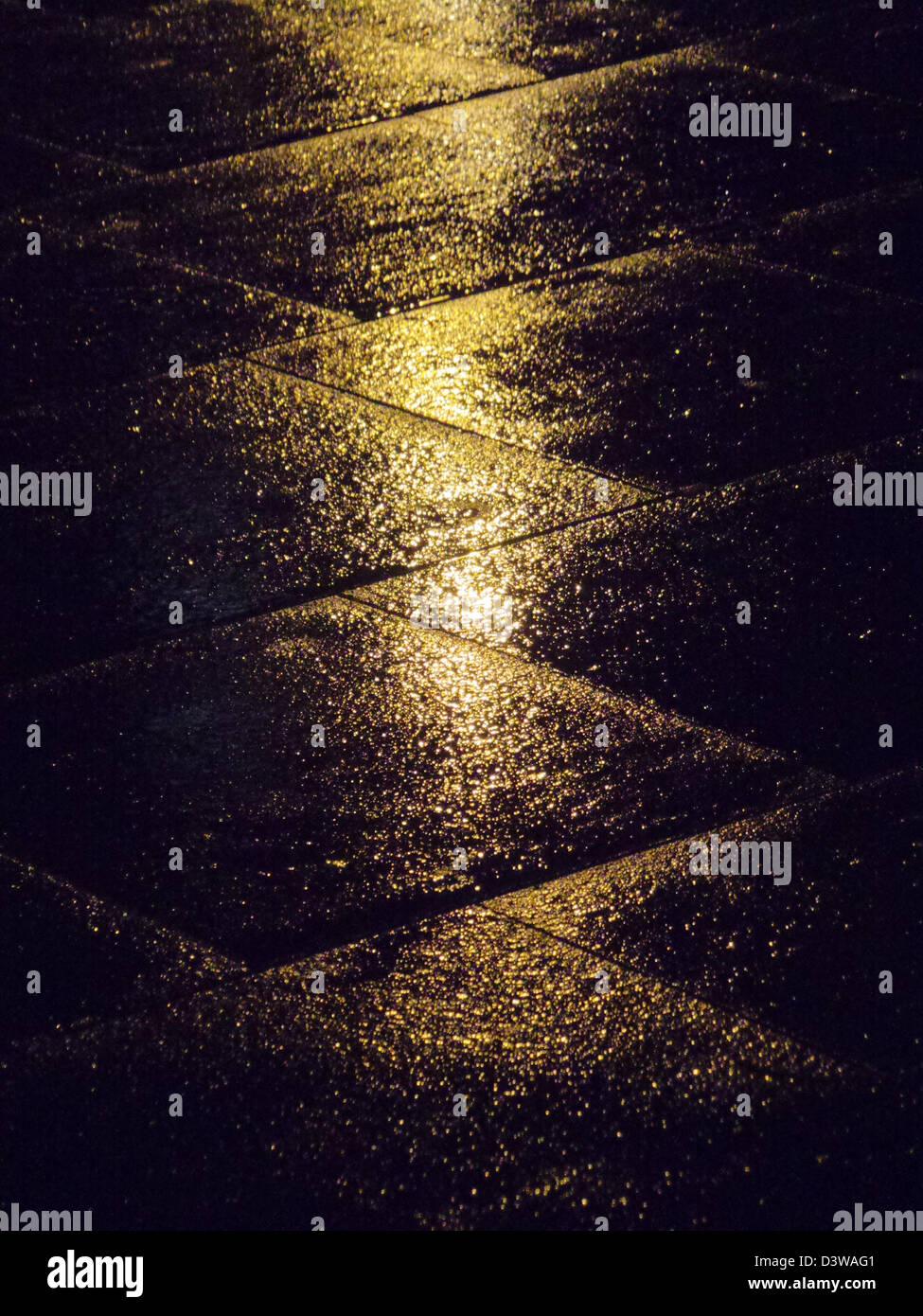 Réflexion de la lumière dans un sol humide, après la nuit de pluie Banque D'Images