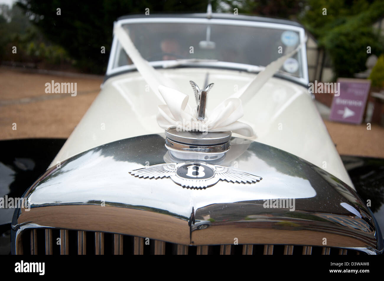 Une photo d'une Bentley étant utilisé comme transport location de mariage pour une mariée en Angleterre, Royaume-Uni Banque D'Images