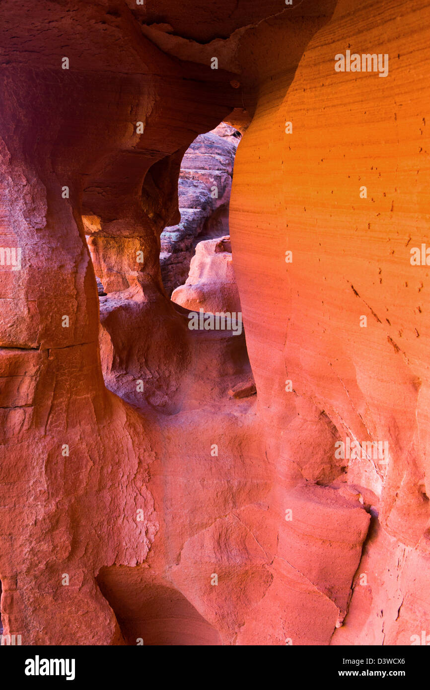 L'érosion de l'article de Red Rock dans la Vallée de Feu, Nevada. Banque D'Images