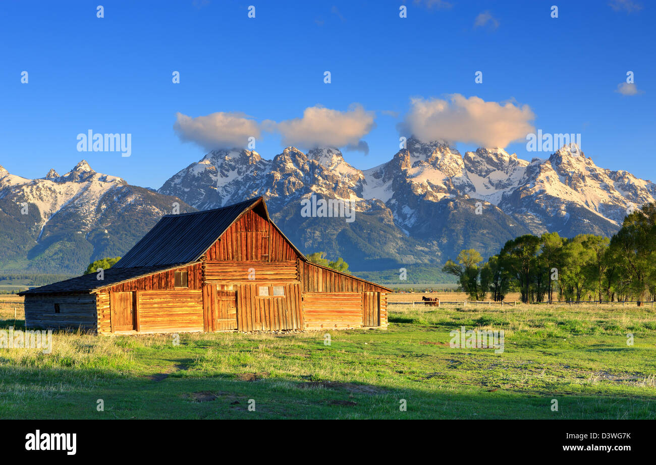 Mormon Row est une ligne de complexes de homestead le long de la route près d'Jackson-Moran l'angle sud-est de Grand Teton NP Banque D'Images