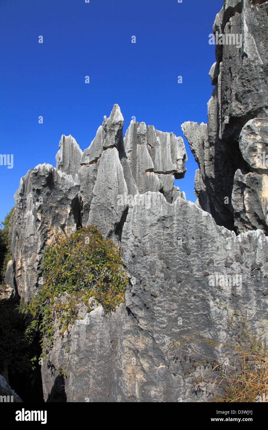 La Chine, le Yunnan, Shilin, la forêt de pierre, Banque D'Images