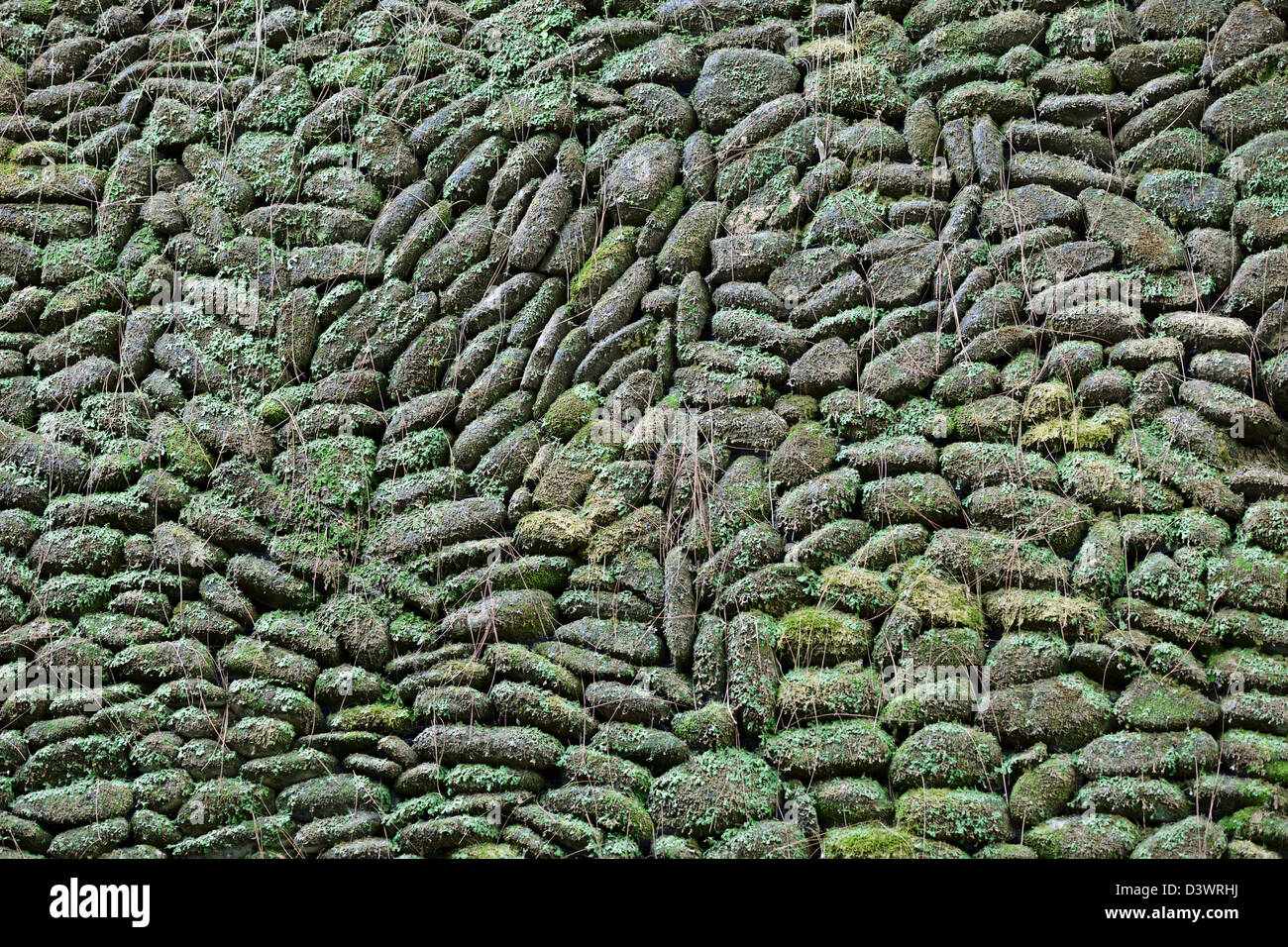 Vieux Mur de pierre couverts de mousse et de plantes - contexte Banque D'Images