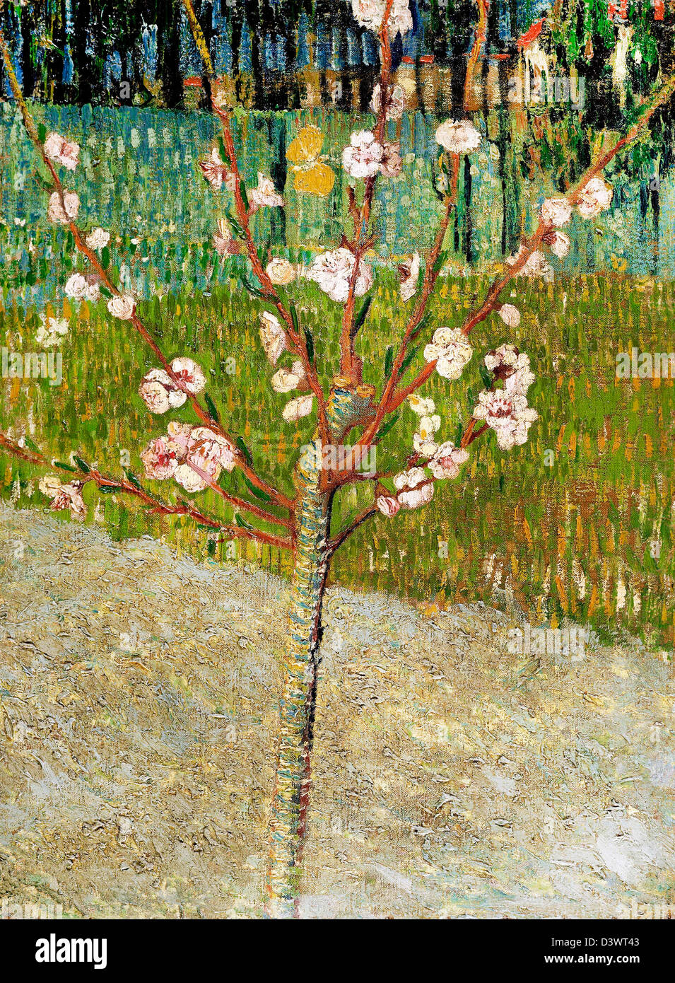 Vincent van Gogh : L'Amandier en fleurs. 1888. Huile sur toile. Van Gogh Museum, Amsterdam, Pays-Bas. Le postimpressionnisme. Banque D'Images
