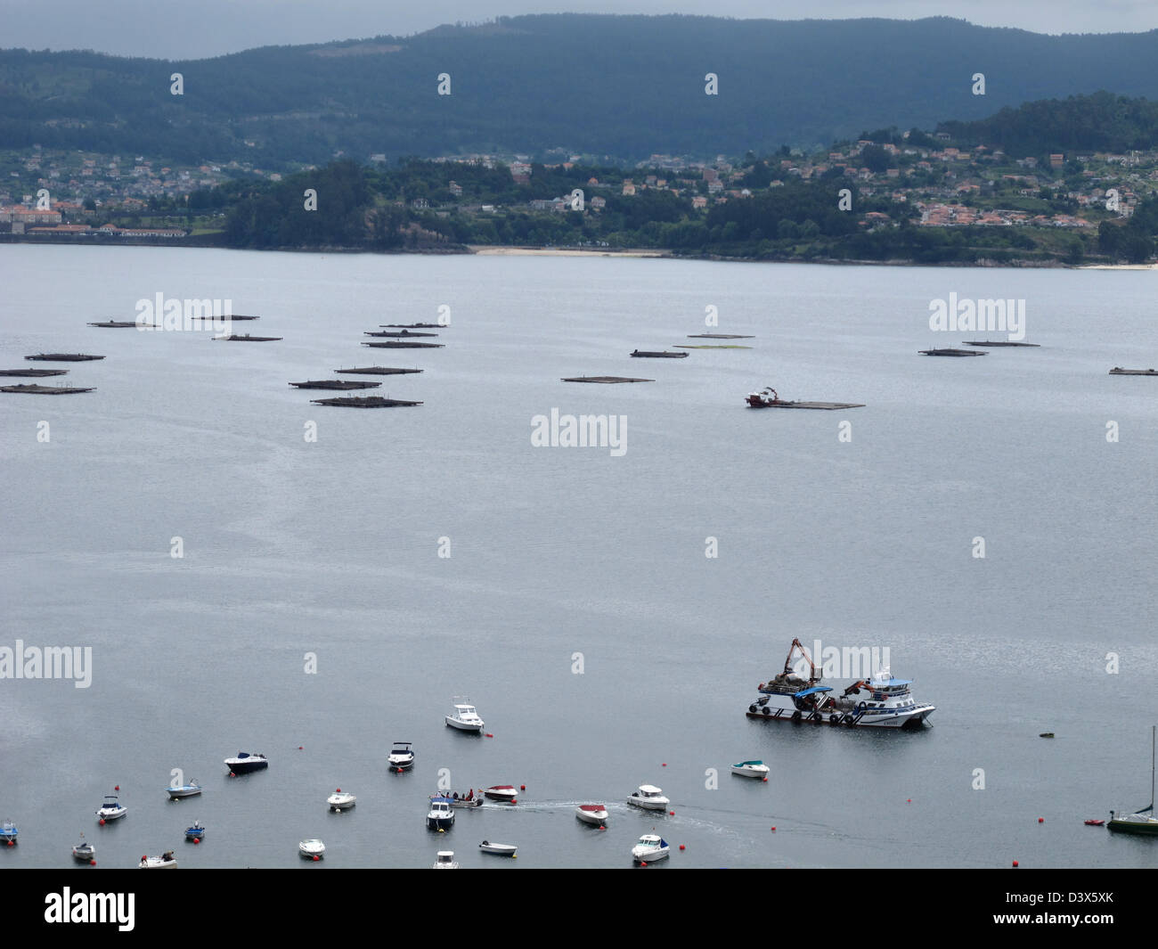 L'élevage de poissons dans la mer, Raxo,Ria de Pontevedra, province de Pontevedra, Galice, Espagne, Europe Banque D'Images