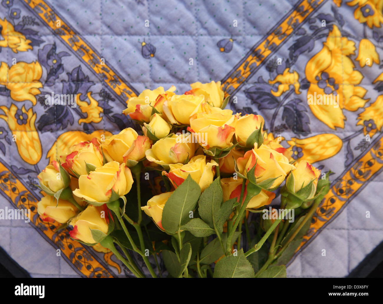 Roses jaunes miniatures sur un tissu matelassé bleu et jaune Banque D'Images